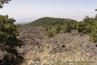 Pista Altomontana
